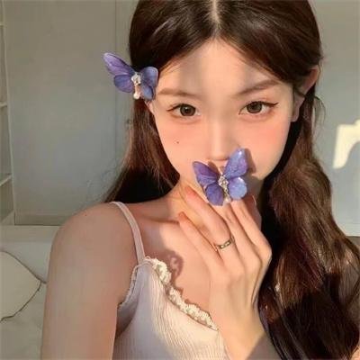 神捕铁飞花之千里缉凶 在线观看